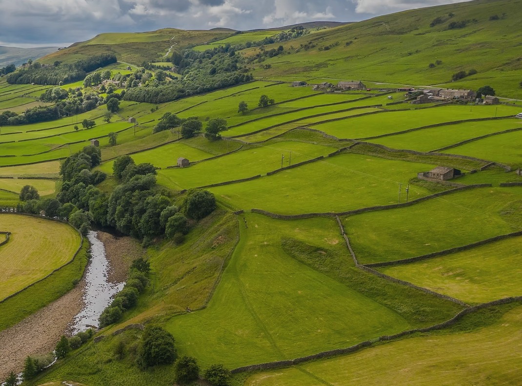Rolling green pastures and a winding creek seen from a hillside